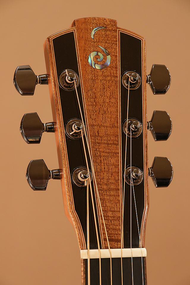Jack Spira Guitars JS-4C ジャックスピラギターズ SM21UAG サブ画像7