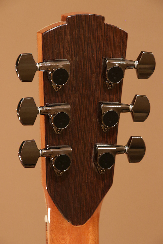 Jack Spira Guitars JS-4C ジャックスピラギターズ SM21UAG サブ画像8