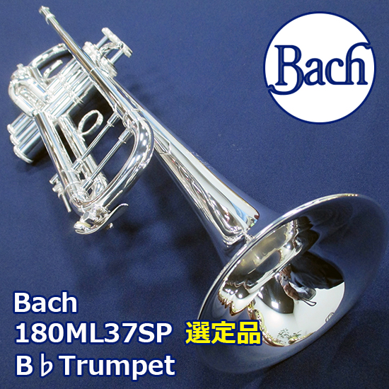 Bach トランペット 180ML37SP 選定品 バック B♭Trumpet