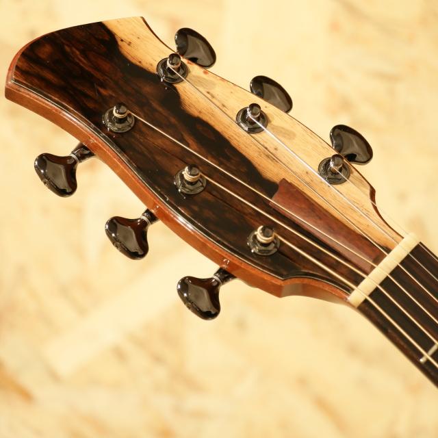 FUJII GUITARS SJ-cw Indian Rosewood  フジイギター サブ画像7