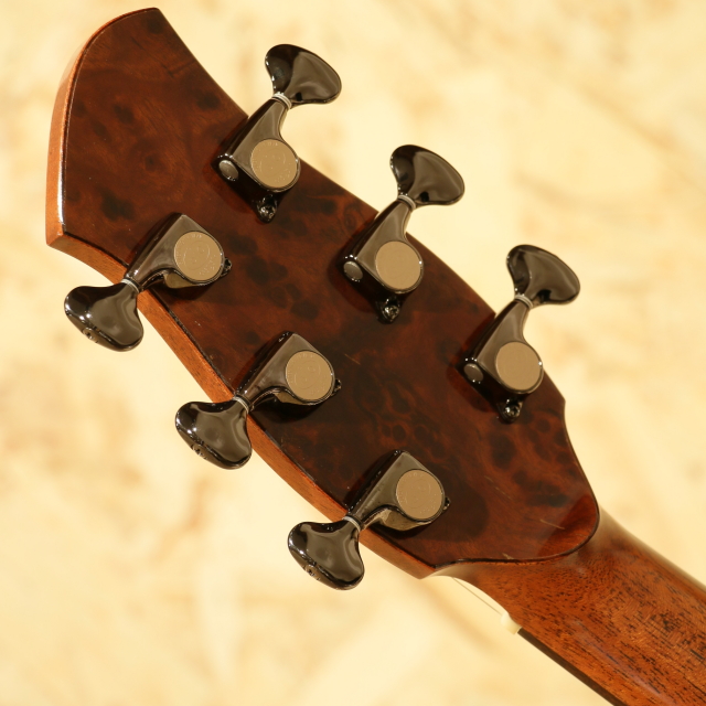 FUJII GUITARS SJ-cw Indian Rosewood  フジイギター サブ画像8