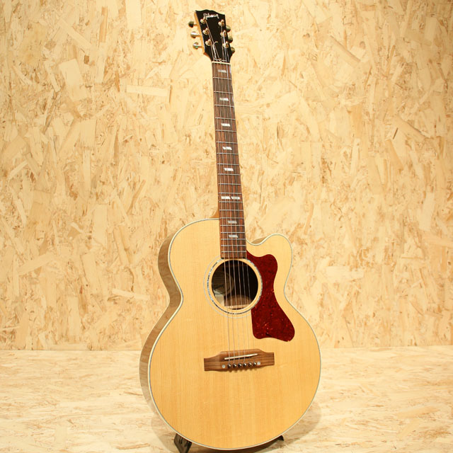GIBSON Parlor Rosewood M ギブソン サブ画像2