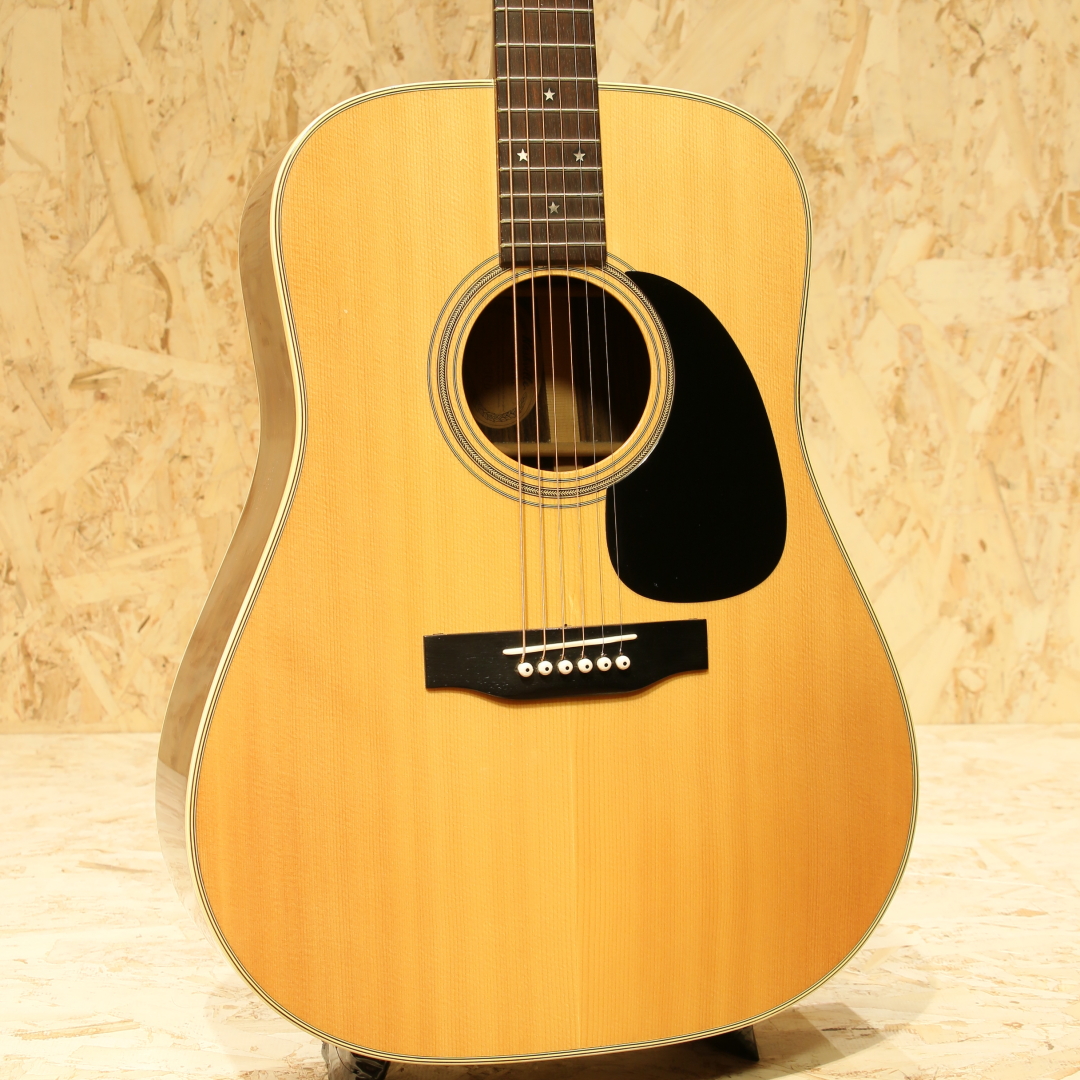 NASHVILLE N-600D ナッシュビル　ギター