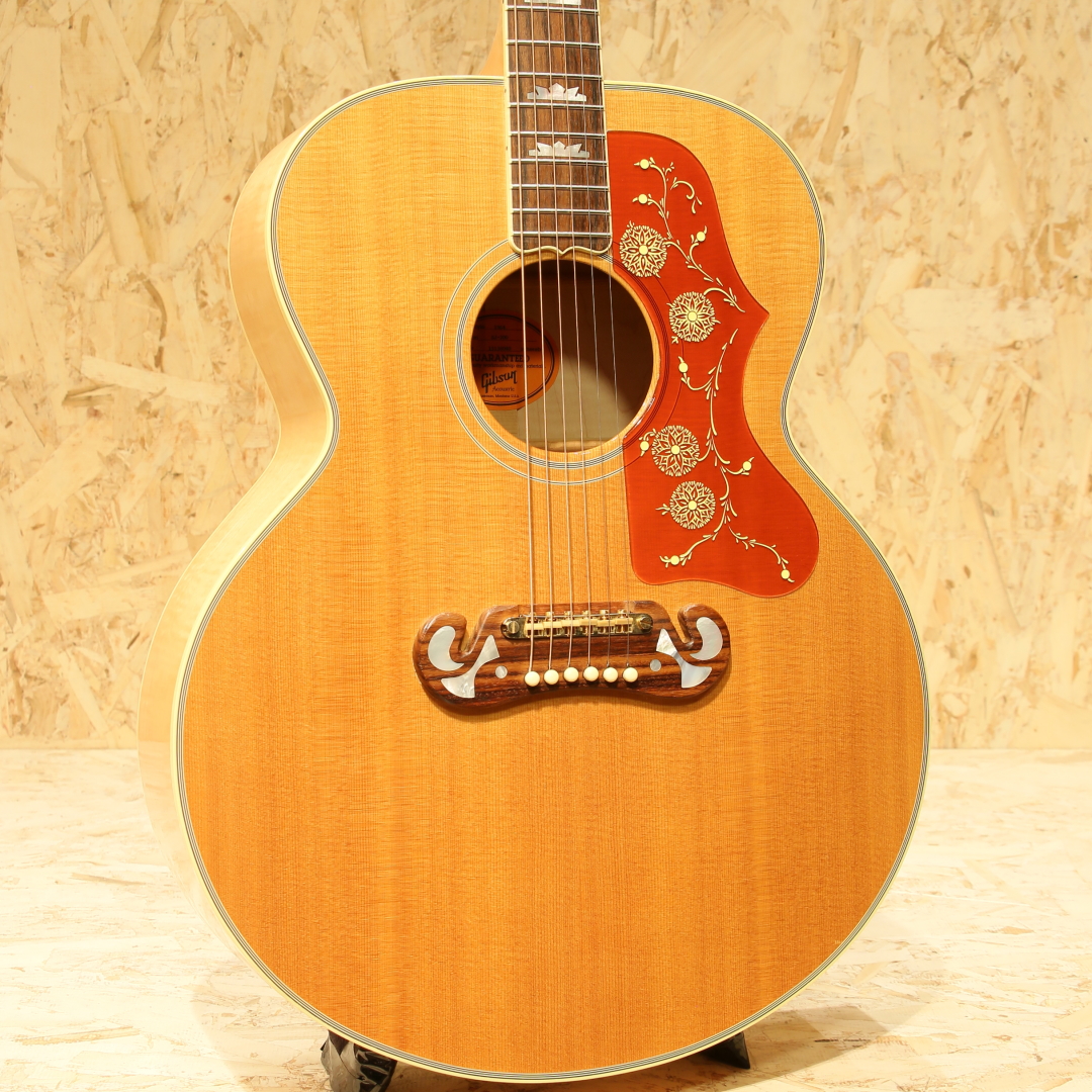 アコースティックギター] Acoustic guitar | 【MIKIGAKKI.COM】 総合 