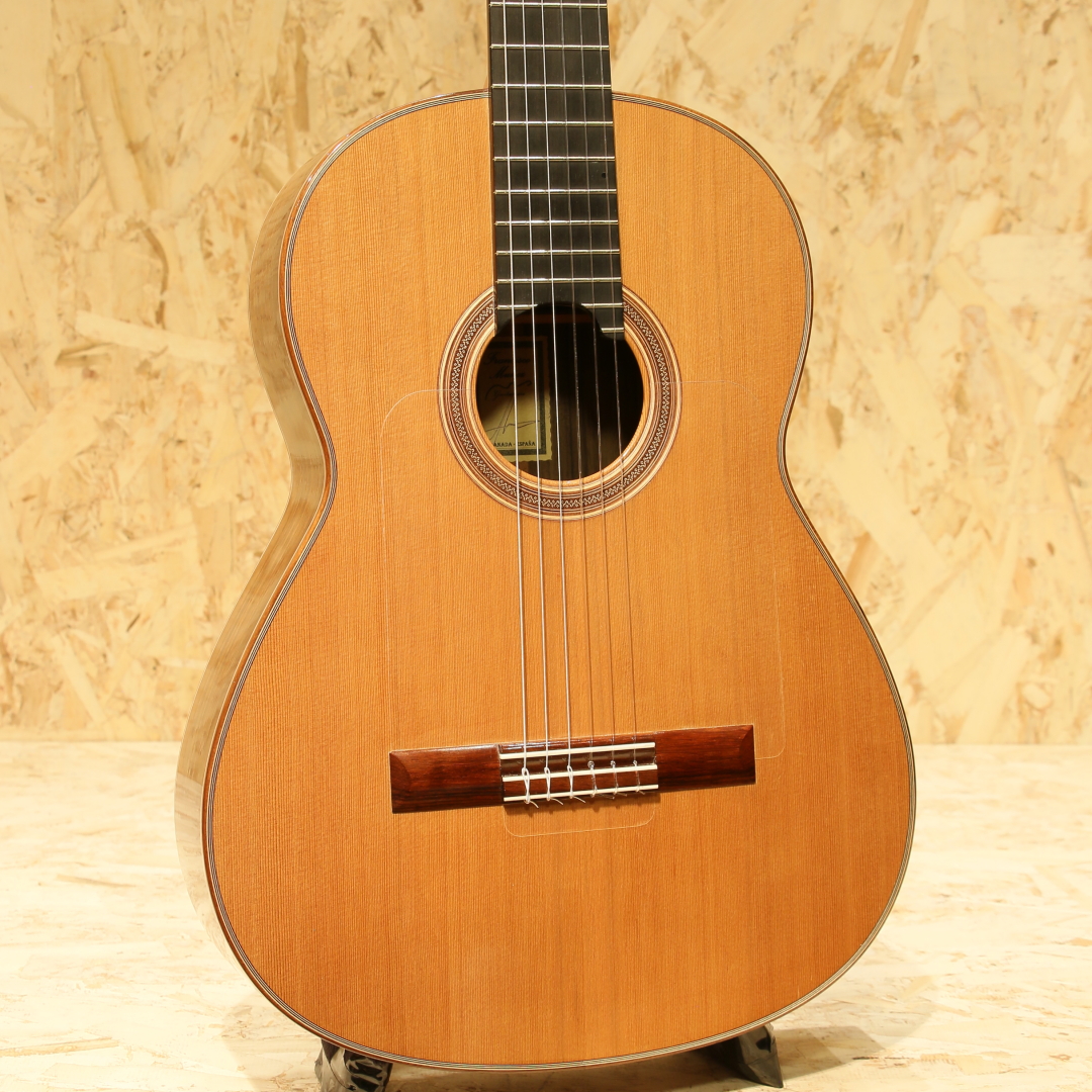 Flamenco Cedar x Rosewood 650mm