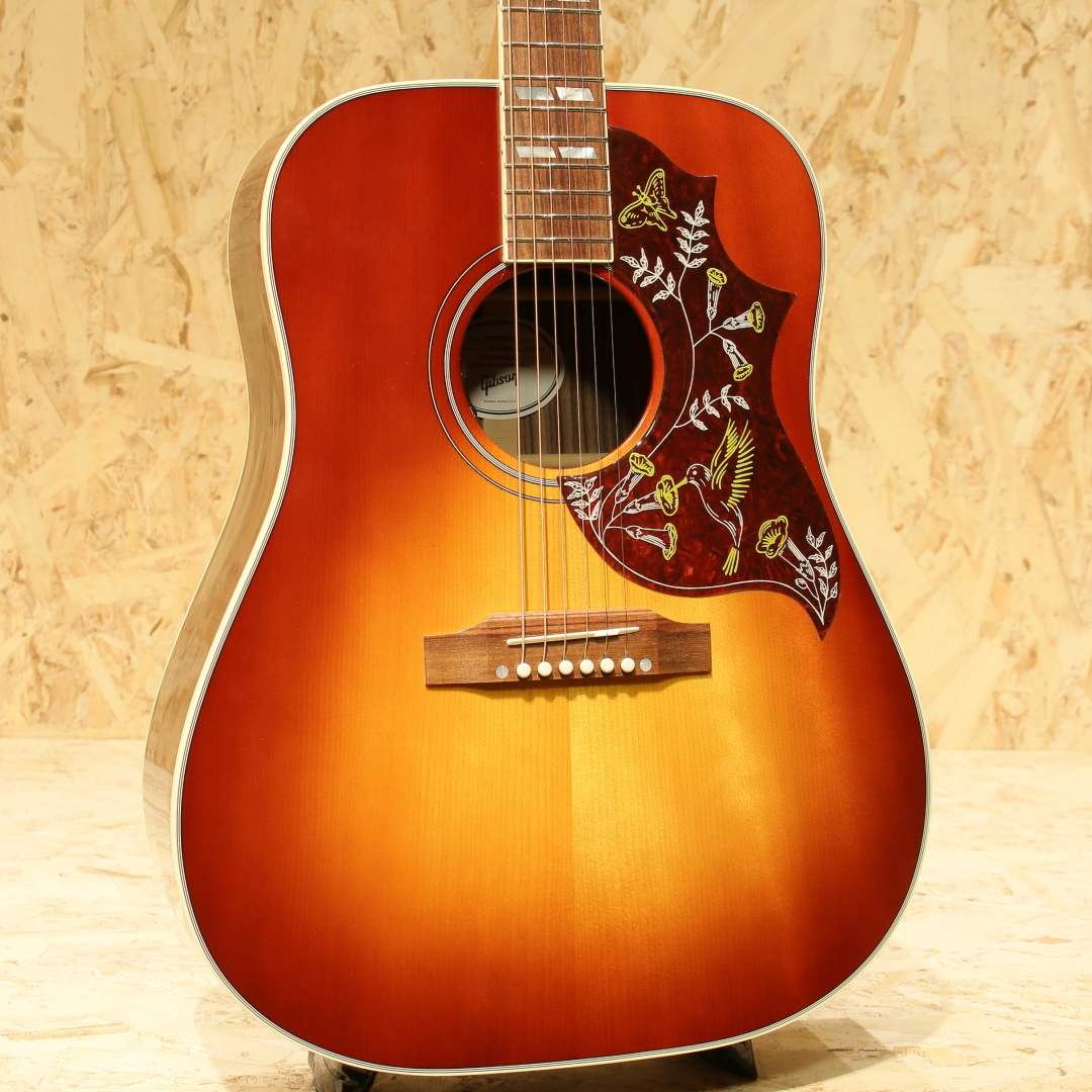 Hummingbird Standard Rosewood,Rosewood Burst