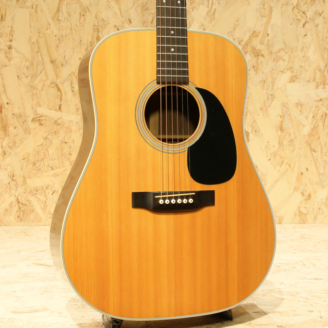 MARTIN D-28 マーチン