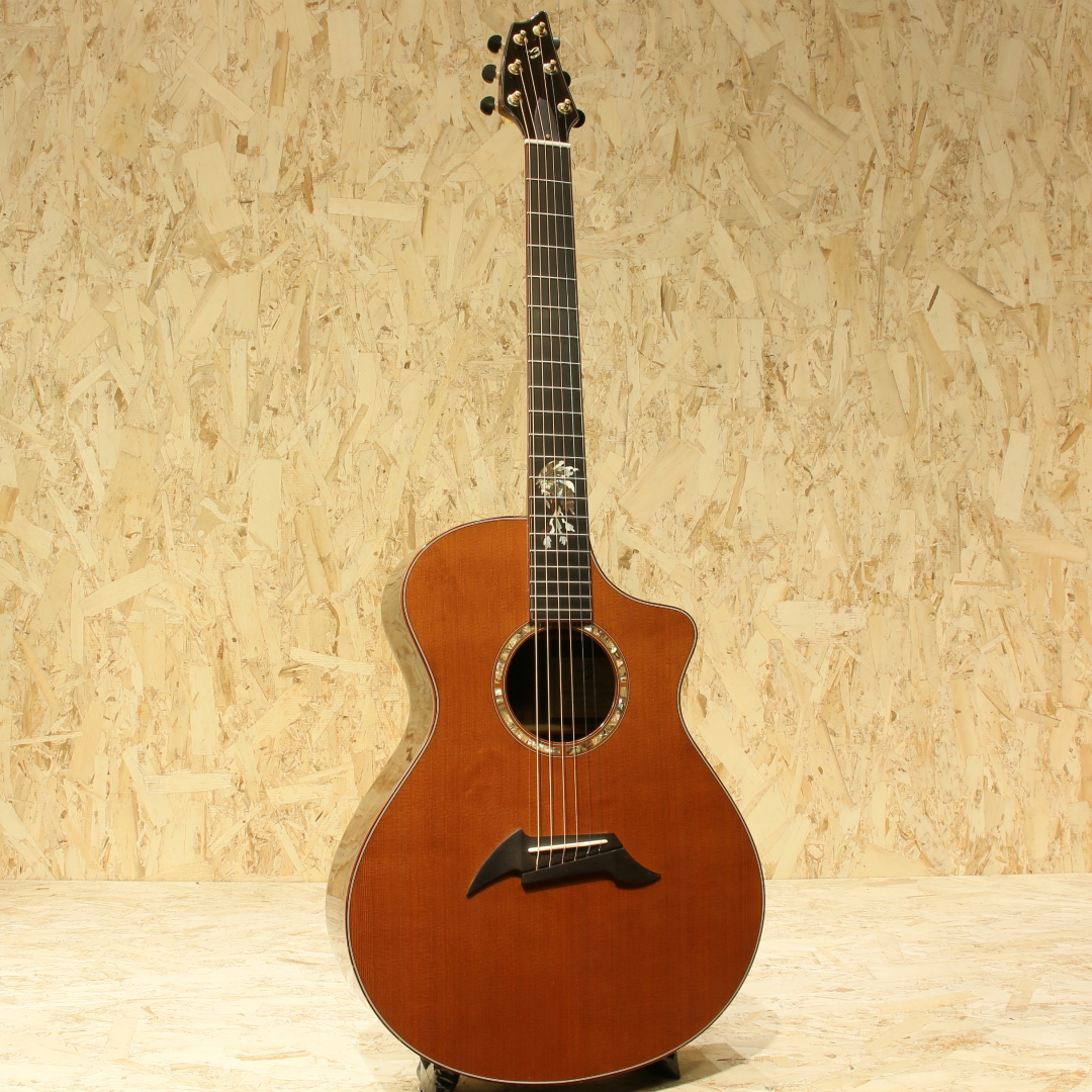 Breedlove C25 Custom ブリードラブ サブ画像2