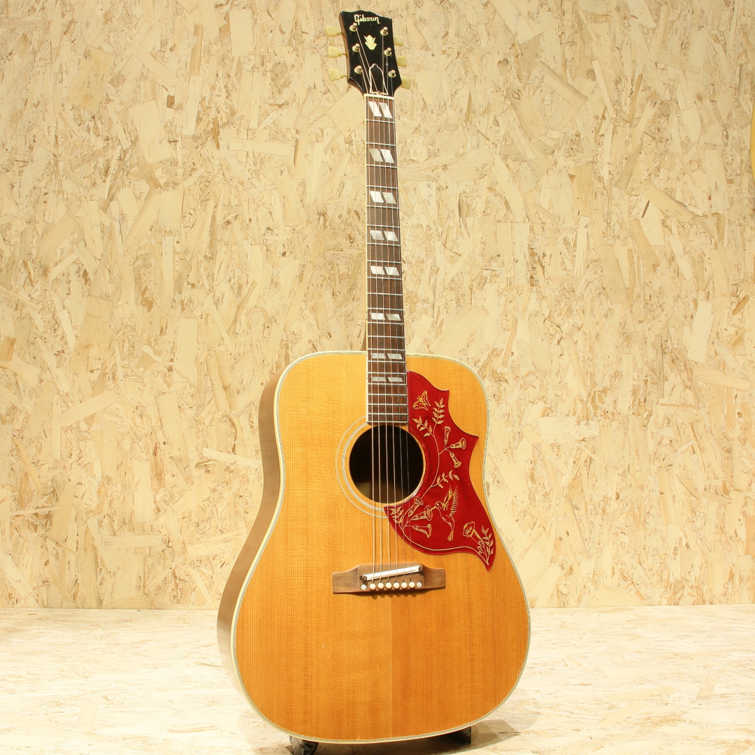 GIBSON Hummingbird NT ギブソン サブ画像2