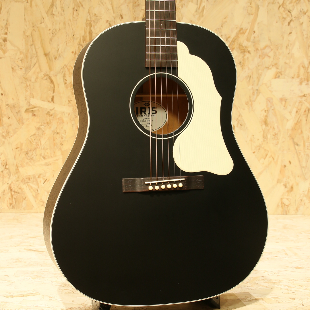 IRIS GUITAR COMPANY DF Model Black アイリスギターカンパニー