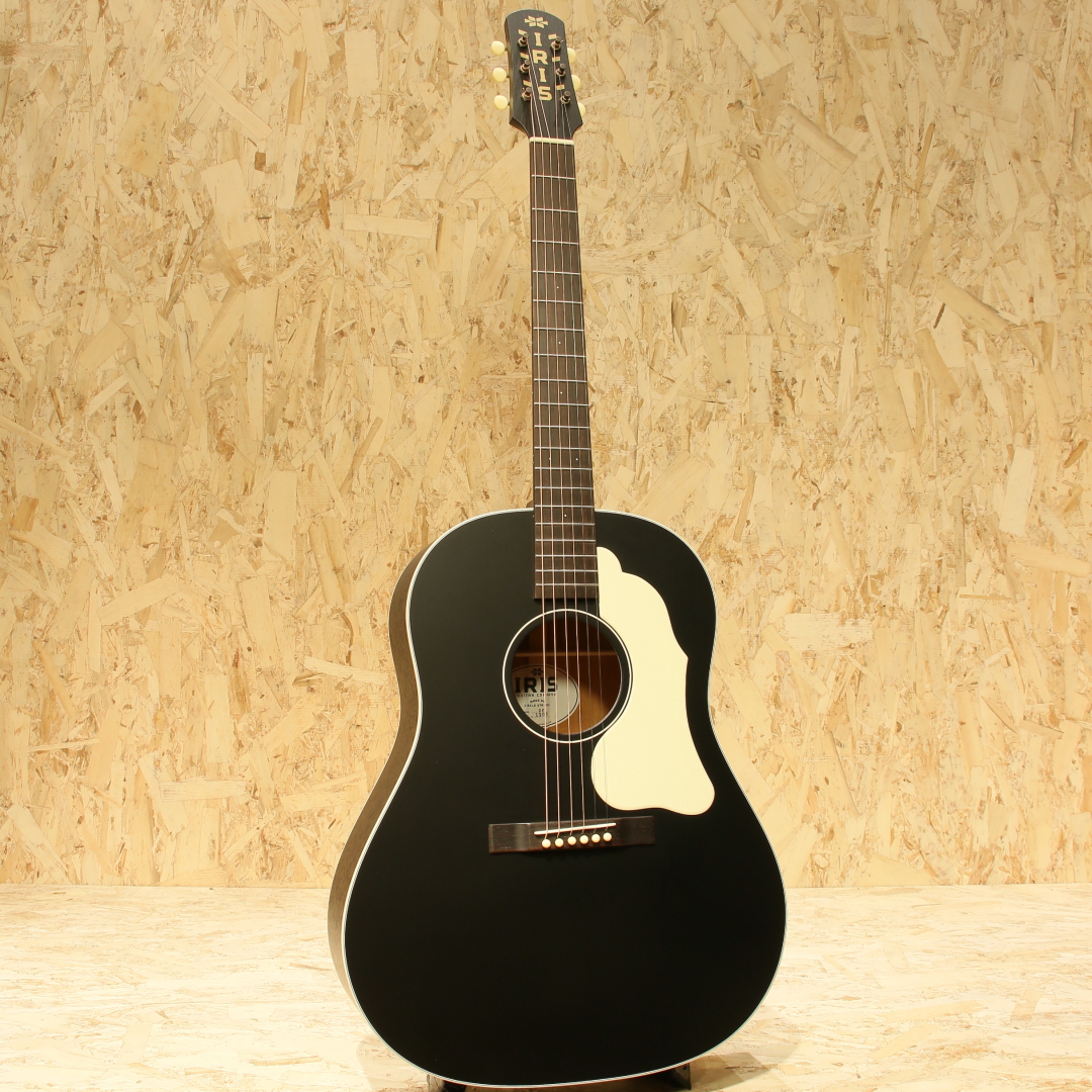 IRIS GUITAR COMPANY DF Model Black アイリスギターカンパニー サブ画像2