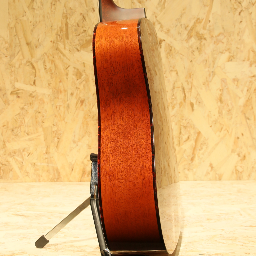 EASTMAN E-6D TC イーストマン サブ画像4