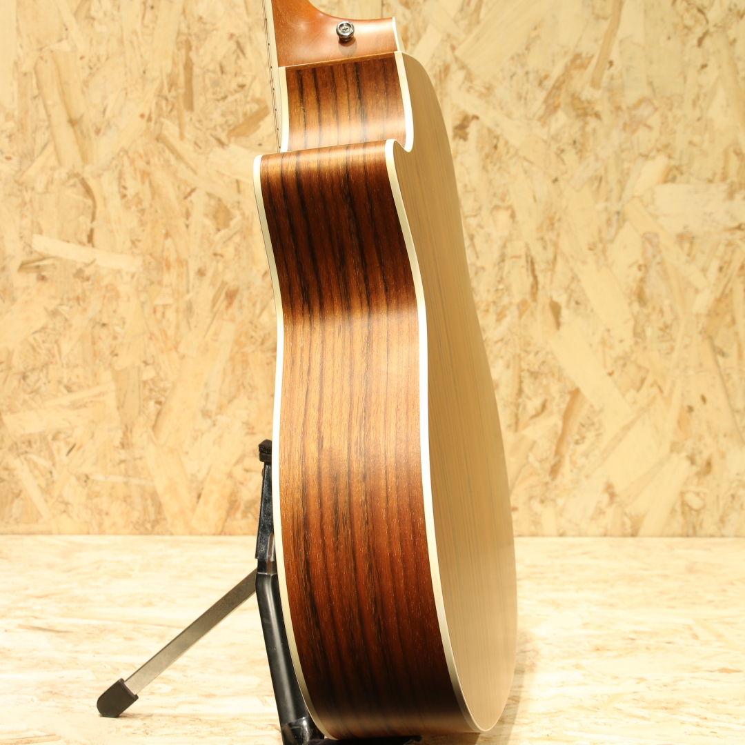 TAYLOR 414ce ES1 テイラー サブ画像4