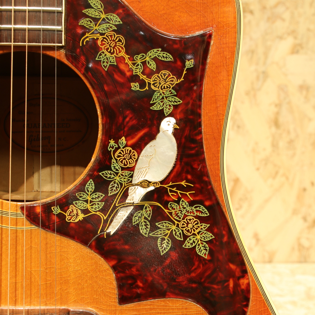 GIBSON DOVE CSB ギブソン サブ画像10