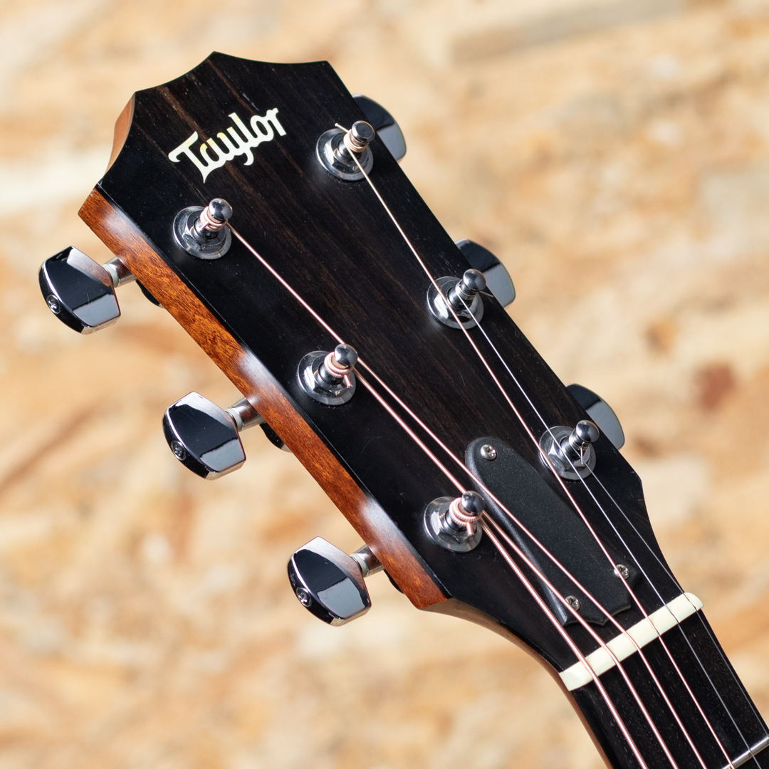 TAYLOR 210ce Rosewood ES2 テイラー サブ画像3