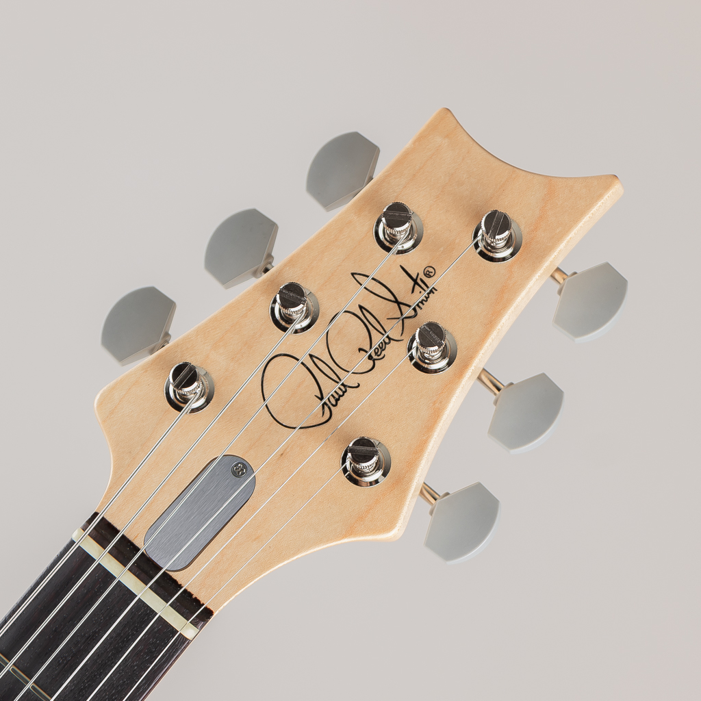 Paul Reed Smith SILVER SKY John Mayer Signature Model Moc Sand Satin ポールリードスミス サブ画像4