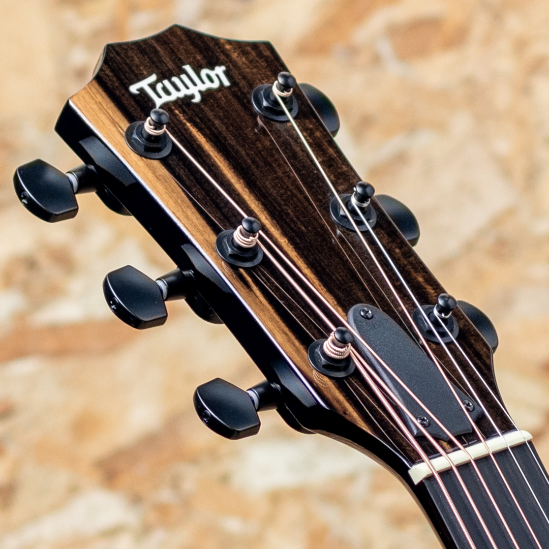 TAYLOR 214ce-BLK DLX テイラー 10sale_ACOINN サブ画像7