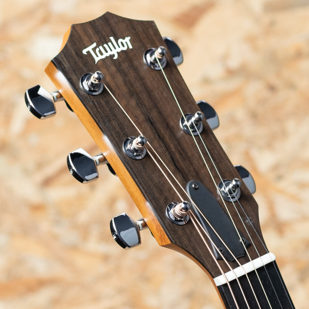 TAYLOR 214ce Walnut テイラー サブ画像7