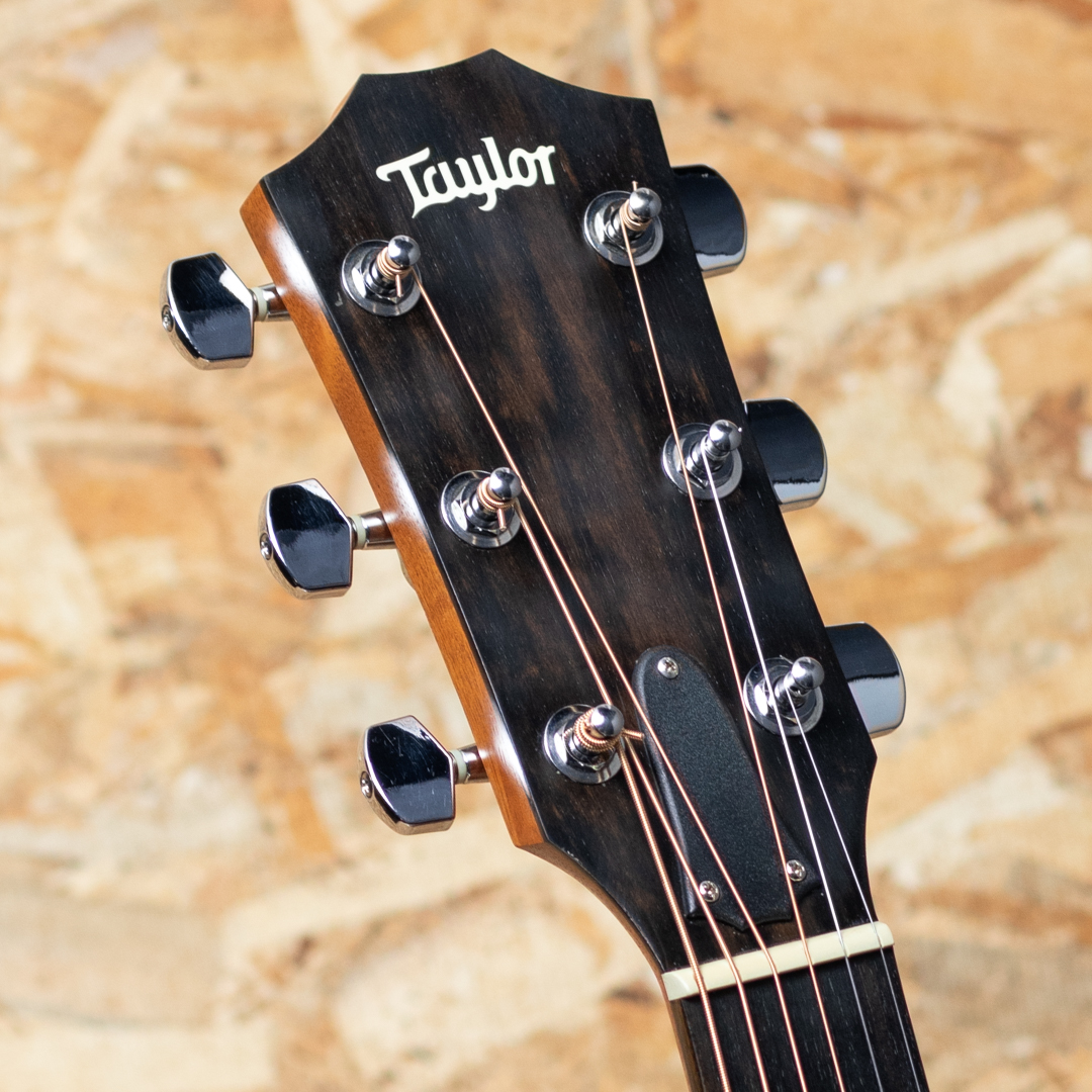 TAYLOR 224ce-K DLX テイラー kannsyasai_2024_Acoinn サブ画像7