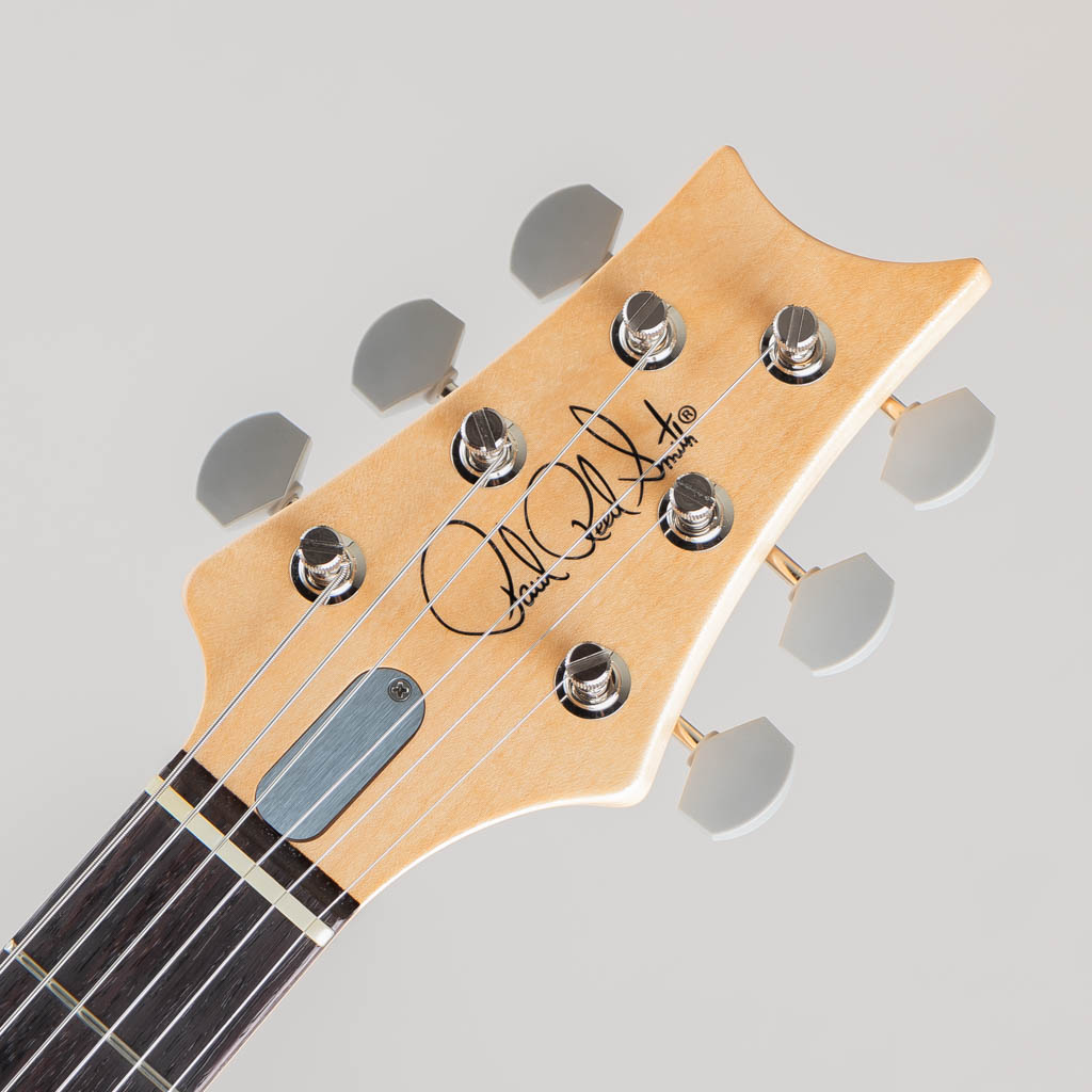 Paul Reed Smith SILVER SKY John Mayer Signature Model Tungsten ポールリードスミス サブ画像4