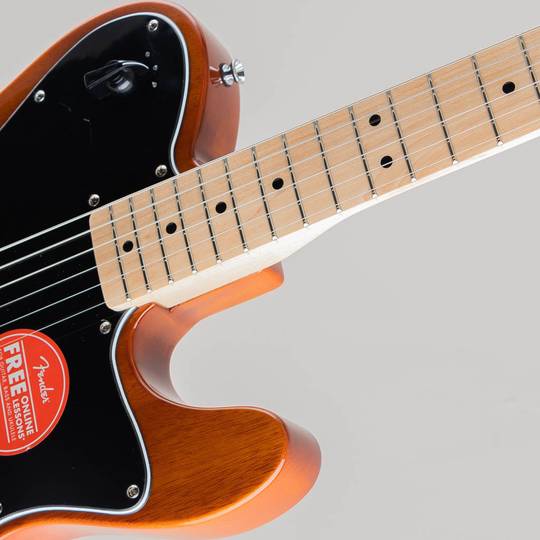 SQUIER Paranormal Esquire Deluxe/M/BPG/Mocha スクワイヤー サブ画像6