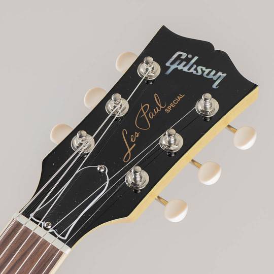 GIBSON Les Paul Special TV Yellow【S/N:226530287】 ギブソン サブ画像4