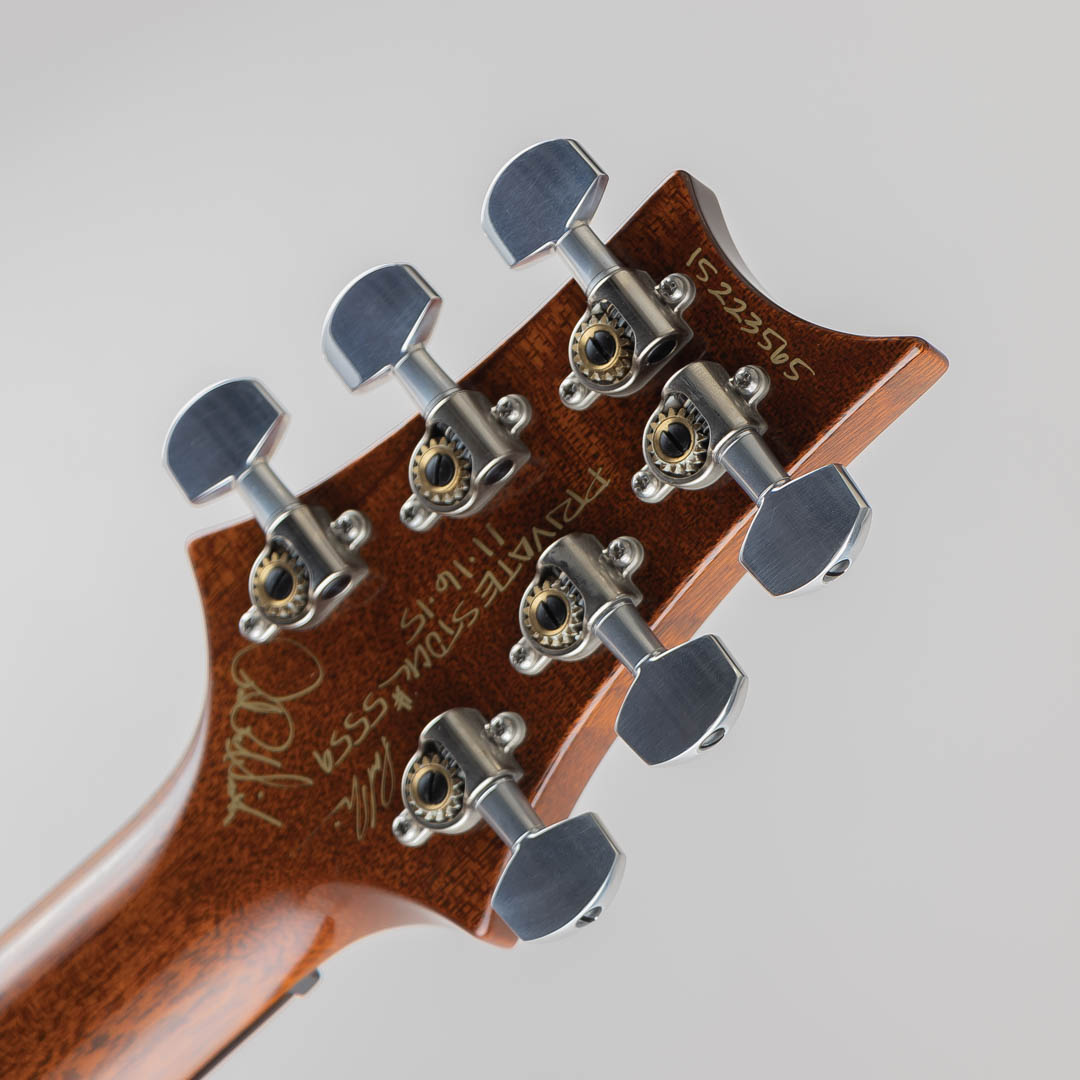 Paul Reed Smith Private Stock #5559 Paul's Graphite Guitar Zombie Eye Smoked Burst 2015 ポールリードスミス サブ画像6