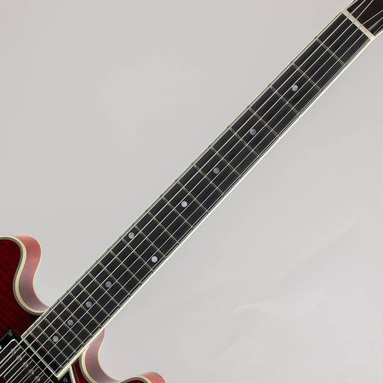 EASTMAN T484 Classic 2020's イーストマン サブ画像5