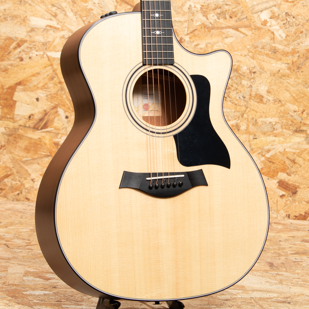 テイラー 910最高級アコースティックギター - 楽器、器材