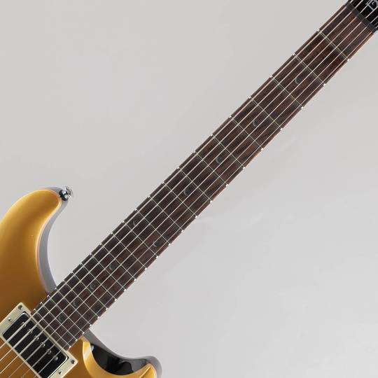 Paul Reed Smith SE DGT / Gold Top Moon Inlays ポールリードスミス サブ画像5