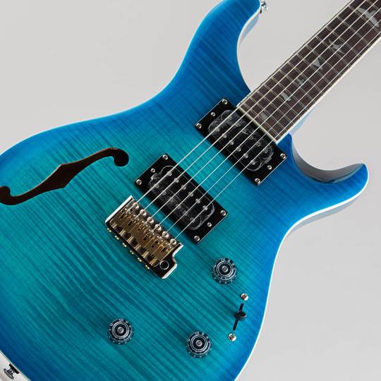 Paul Reed Smith SE Custom 24 Semi-Hollow Piezo Lake Blue  ポールリードスミス サブ画像7