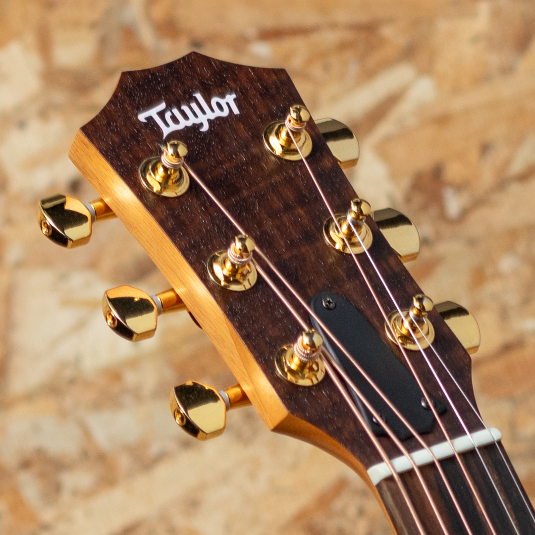 TAYLOR LTD GS Mini-e Rosewood 50th Natural テイラー サブ画像7