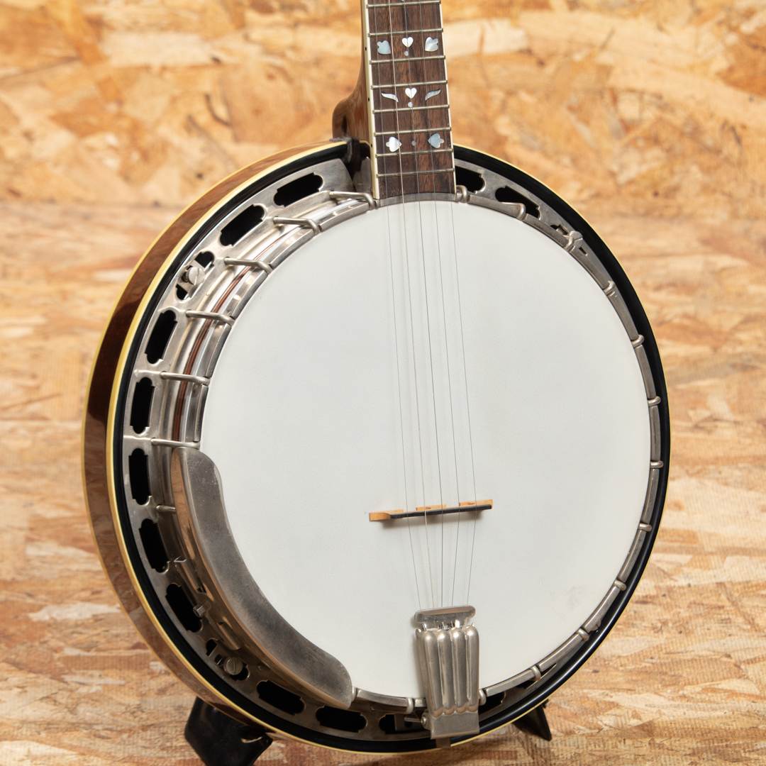 5 string Banjo