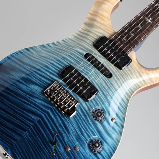 Paul Reed Smith Private Stock Modern Eagle V Limited Edition # 8242 Iceberg Fade ポールリードスミス サブ画像10