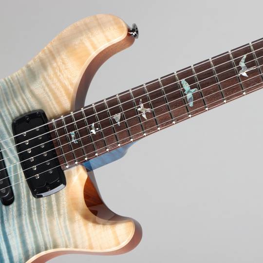 Paul Reed Smith Private Stock Modern Eagle V Limited Edition # 8242 Iceberg Fade ポールリードスミス サブ画像11