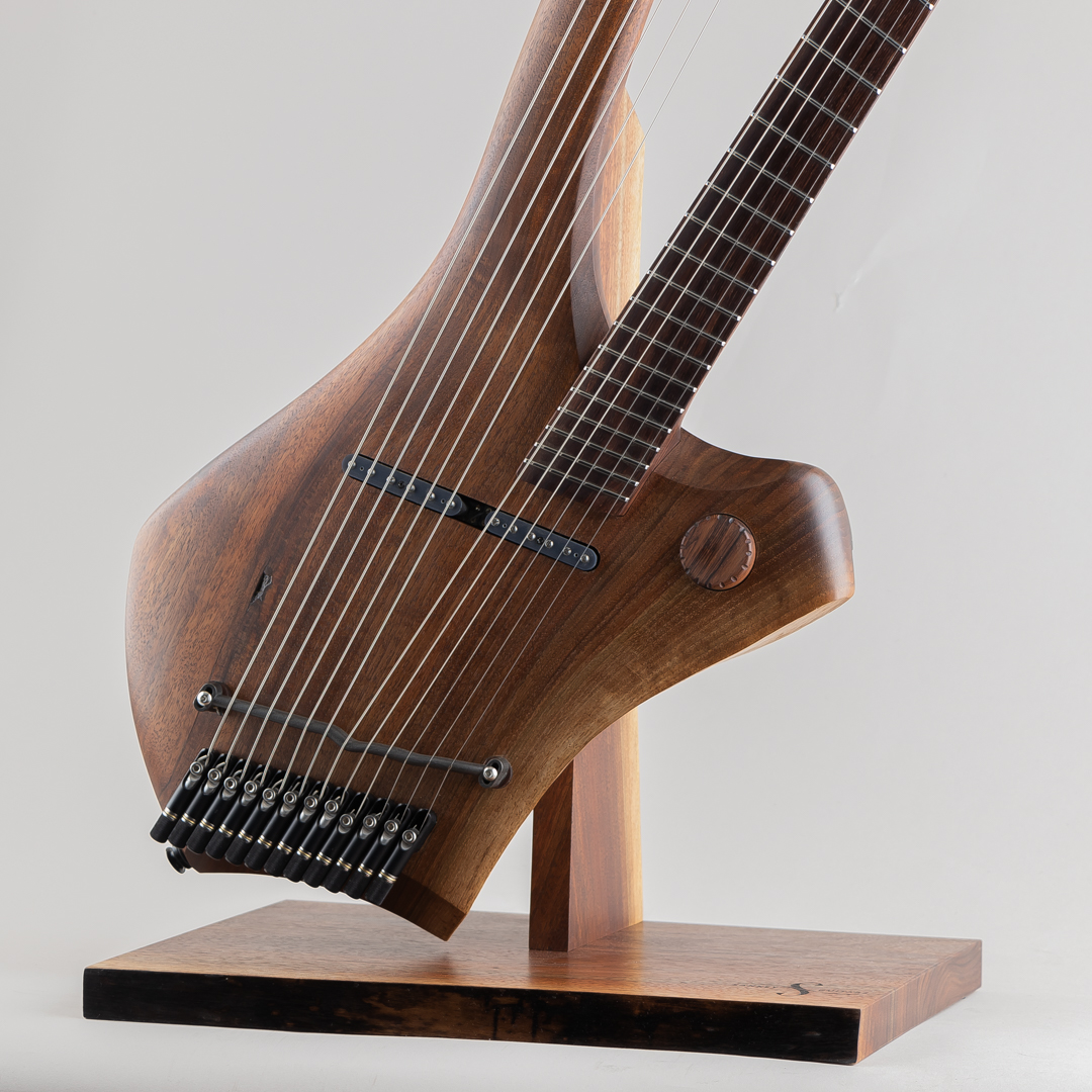 Sankey Guitars Singularity サブ画像8