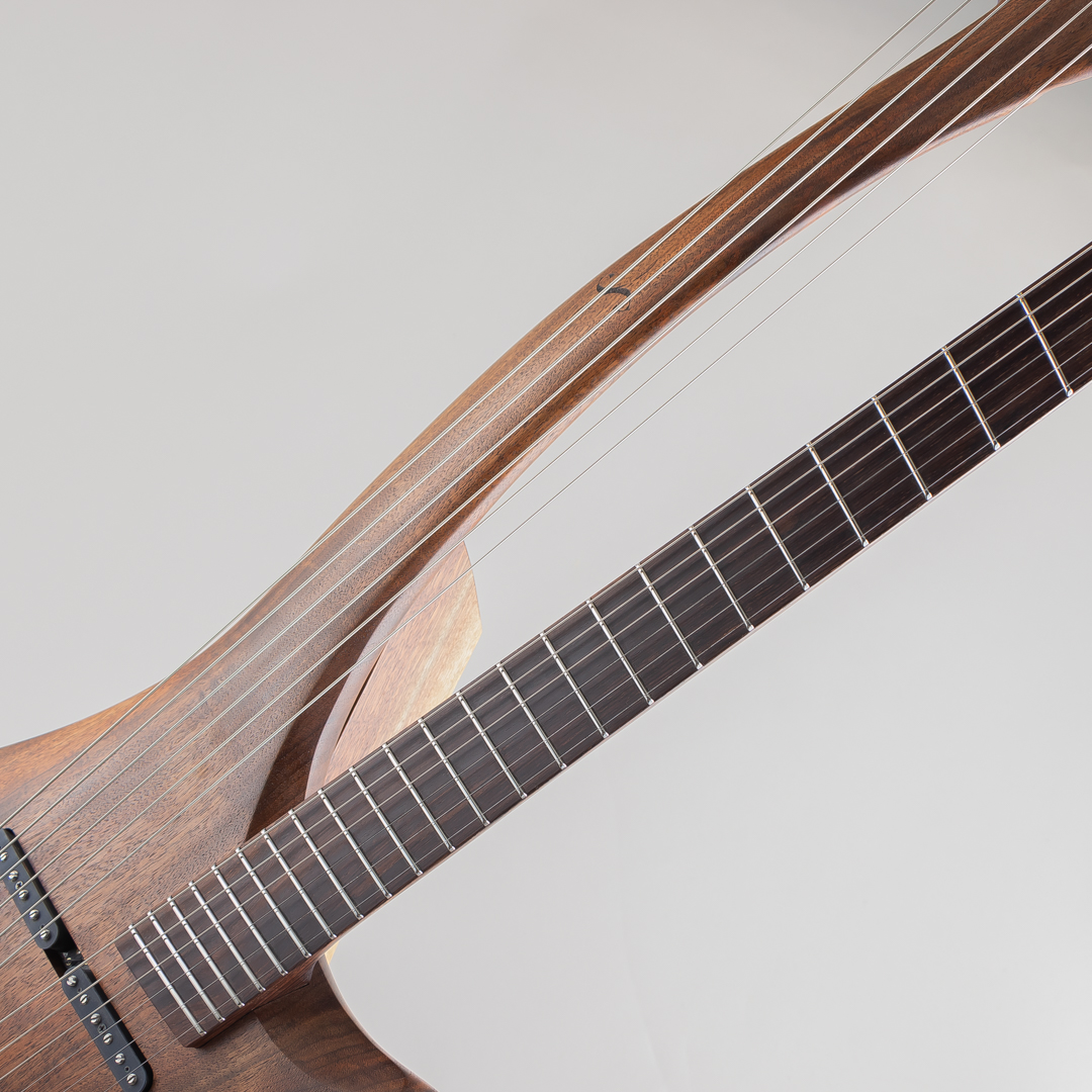 Sankey Guitars Singularity サブ画像14