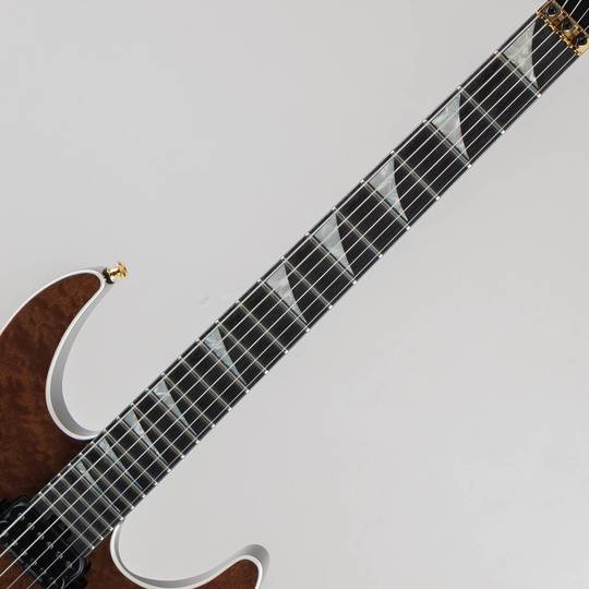 JACKSON MJ Series Dinky DK Burl Mahogany/Dark Mocha ジャクソン サブ画像5