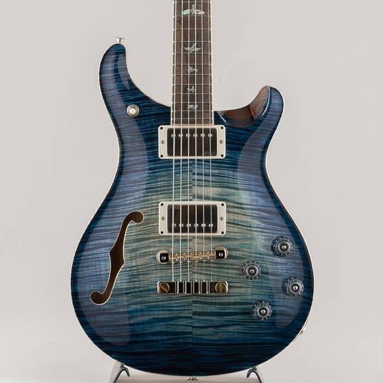 Private Stock # 11643 McCarty 594 Semi-hollow Whale Blue Glow "Ziricote Neck/FB"