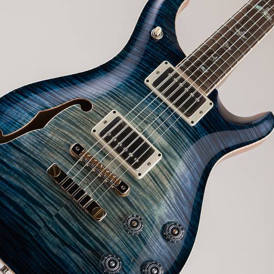 Paul Reed Smith Private Stock # 11643 McCarty 594 Semi-hollow Whale Blue Glow Ziricote Neck/FB ポールリードスミス サブ画像10