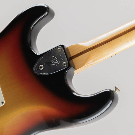 FENDER 1973 Stratocaster 3-Color Sunburst Alder/Rose フェンダー サブ画像12