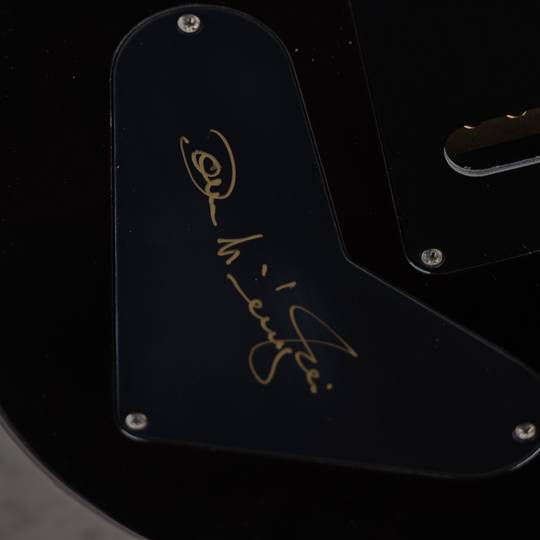 Paul Reed Smith Private Stock #10659 John McLaughlin Limited Edition ポールリードスミス サブ画像19