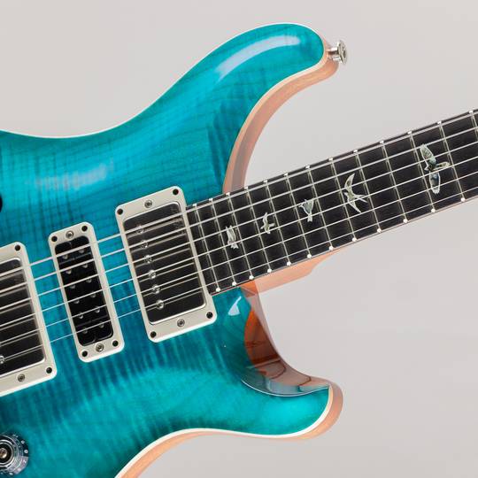 Paul Reed Smith Special Semi-Hollow Carroll Blue 2024 Spec ポールリードスミス サブ画像11