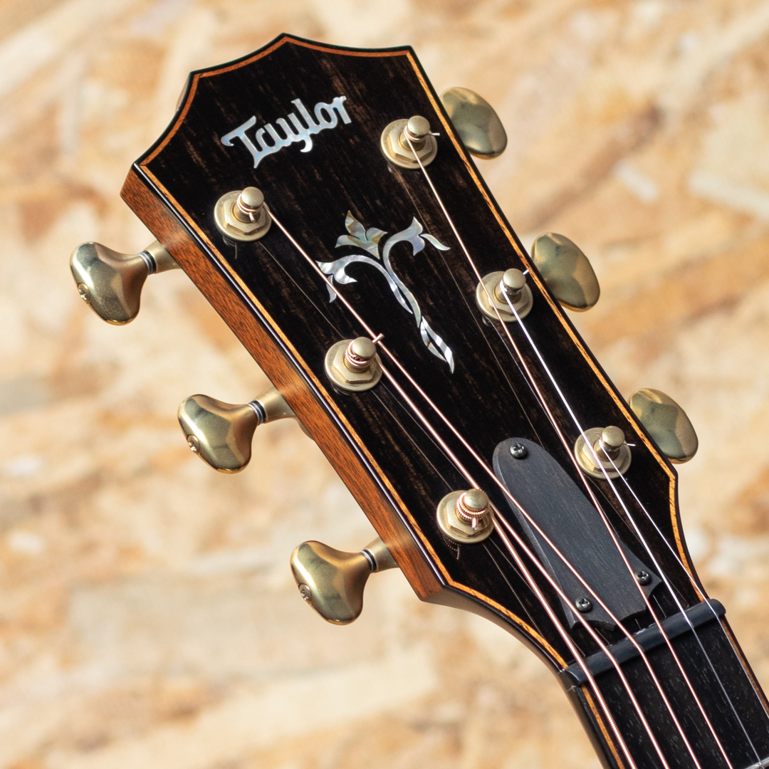 TAYLOR 914ce LTD Cindy Inlays テイラー サブ画像7