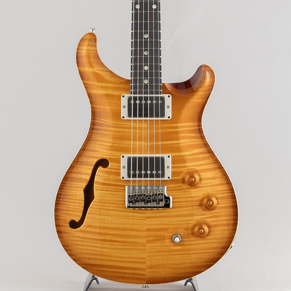 DGT Semi-Hollow Limited Edition "Artist Grade Top" McCarty Sunburst