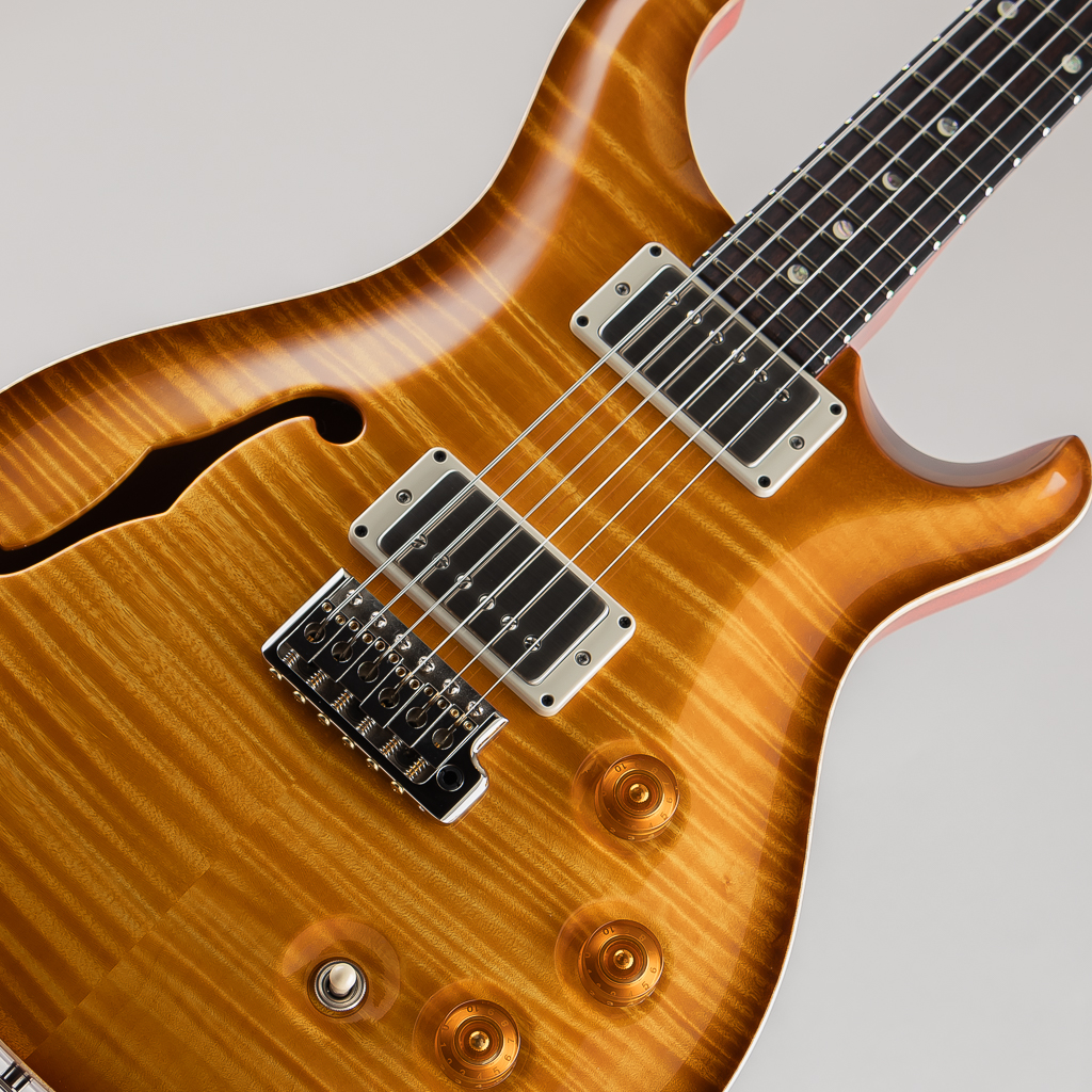 Paul Reed Smith DGT Semi-Hollow Limited Edition Artist Grade Top McCarty Sunburst ポールリードスミス サブ画像10