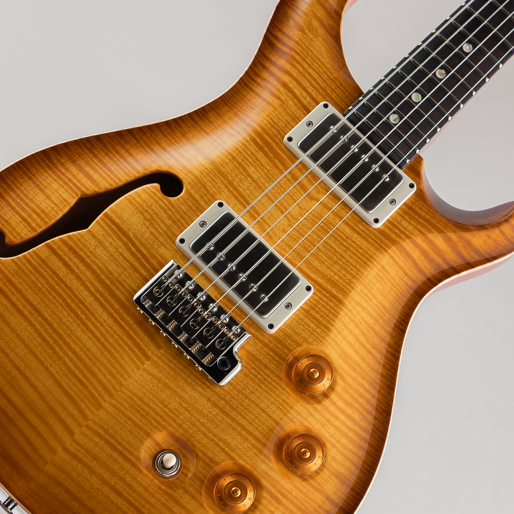 Paul Reed Smith DGT Semi-Hollow Limited Edition Artist Grade Top McCarty Sunburst ポールリードスミス サブ画像10