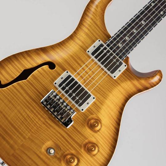 Paul Reed Smith DGT Semi-Hollow Limited Edition Artist Grade Top McCarty Sunburst ポールリードスミス サブ画像10