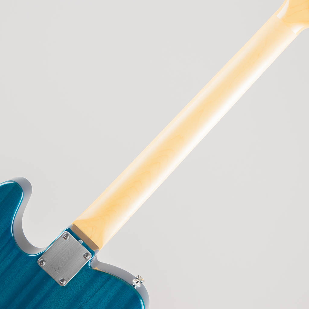 FUJIGEN(FGN) NTE110MMHT / Transparent Blue フジゲン サブ画像10