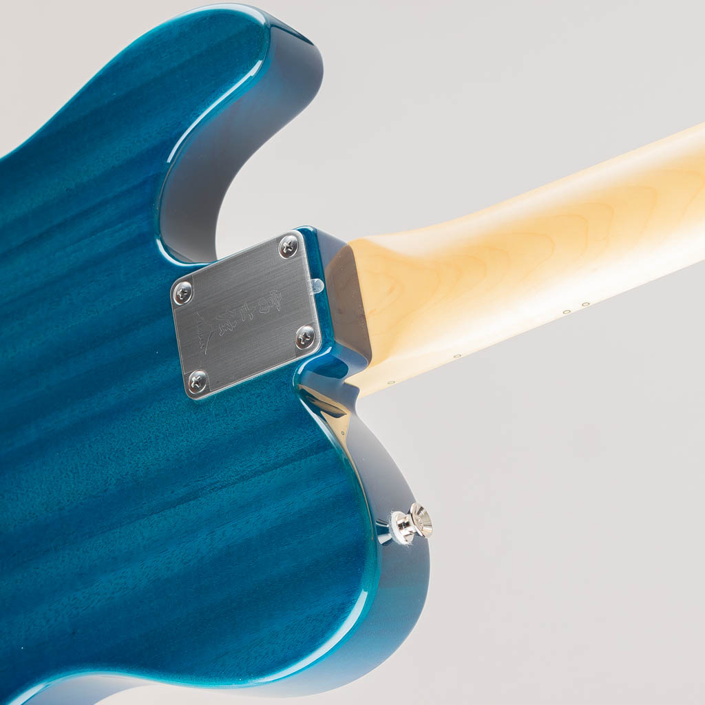 FUJIGEN(FGN) NTE110MMHT / Transparent Blue フジゲン サブ画像11